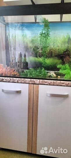 Аквариум с тумбой