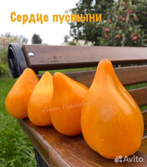 Семена томатов (2)