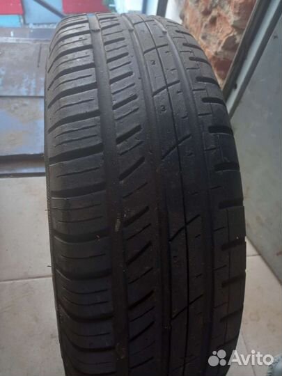 Accelera Accelera Summer 175/70 R13