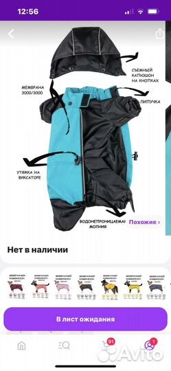 Дождевик- комбинезон для средней собаки