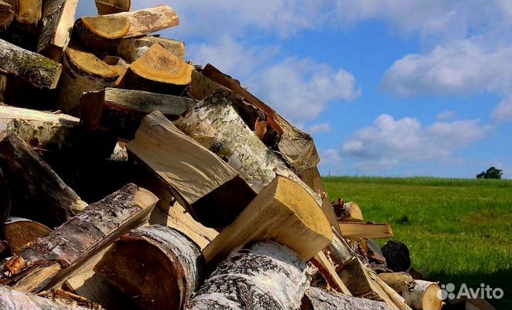 На дворе трава на траве дрова