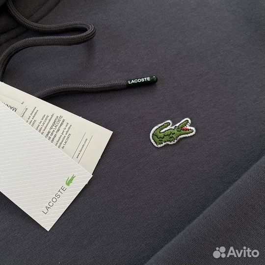 Толстовка lacoste с начесом