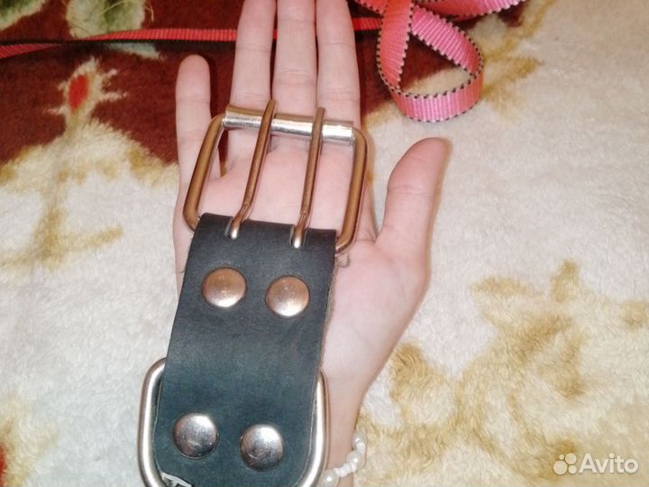 Амуниция для собак