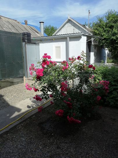 Дом 24 м² на участке 4 сот.