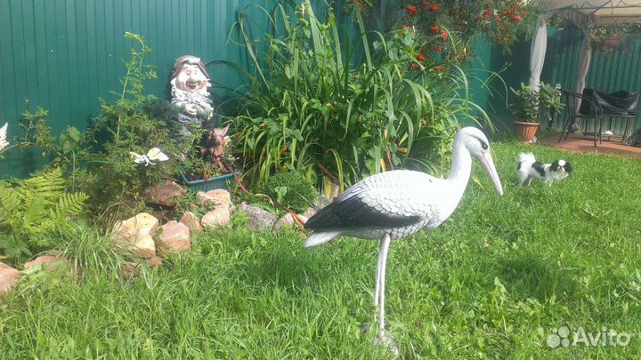 Передержка, домашняя зоогостиница