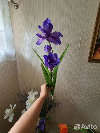 Цветы интерьерные, ваза