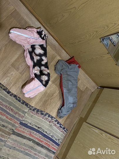 Одежда для собак