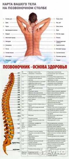 Костоправ.Восстановление.Лечение
