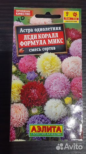 Рассада астр