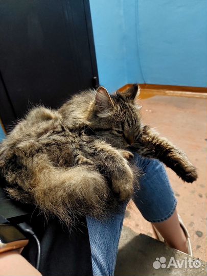 Помогите найти дом