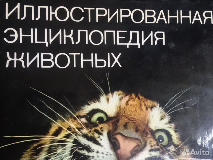Артия Энциклопедия птиц, животных СССР