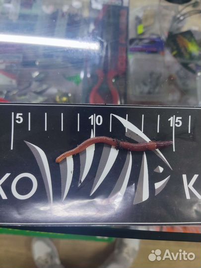 Опарыш оптом / червь дедрабена