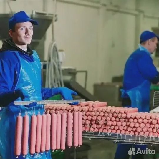 Сортировщик(ца) работа вахтой