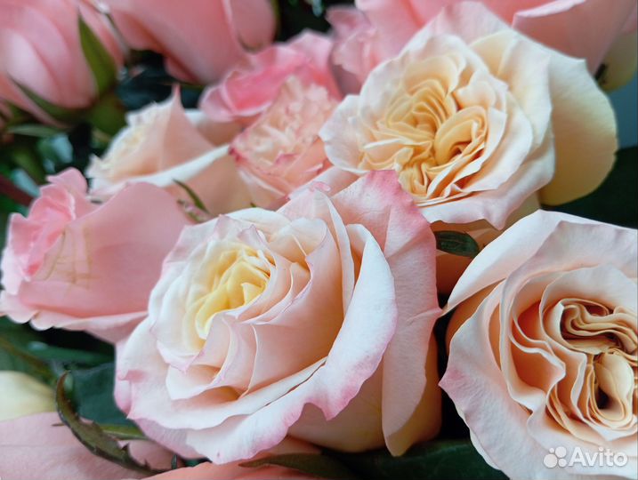 Цветы на 8 марта