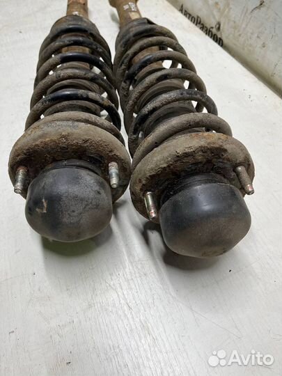 Амортизатор задний левый правый Epica v250 в сборе