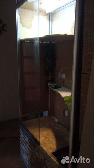 Террариум для рептилий бу