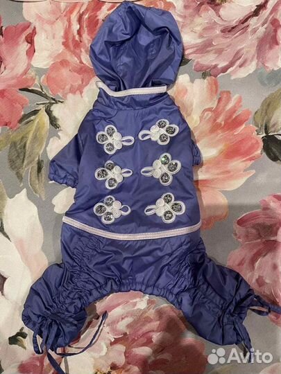 Одежда для собак