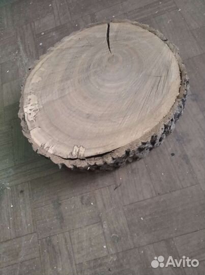 Спил из дуба