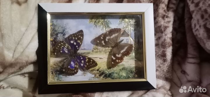 Продам панно