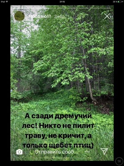 Участок 11 сот. (СНТ, ДНП)
