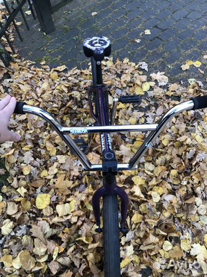 Bmx subrosa