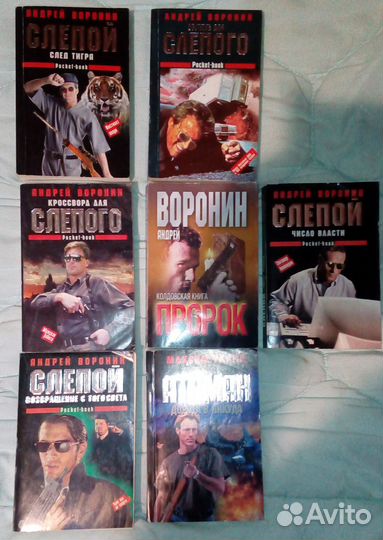 Андрей Воронин. Слепой. Пророк 24 книги