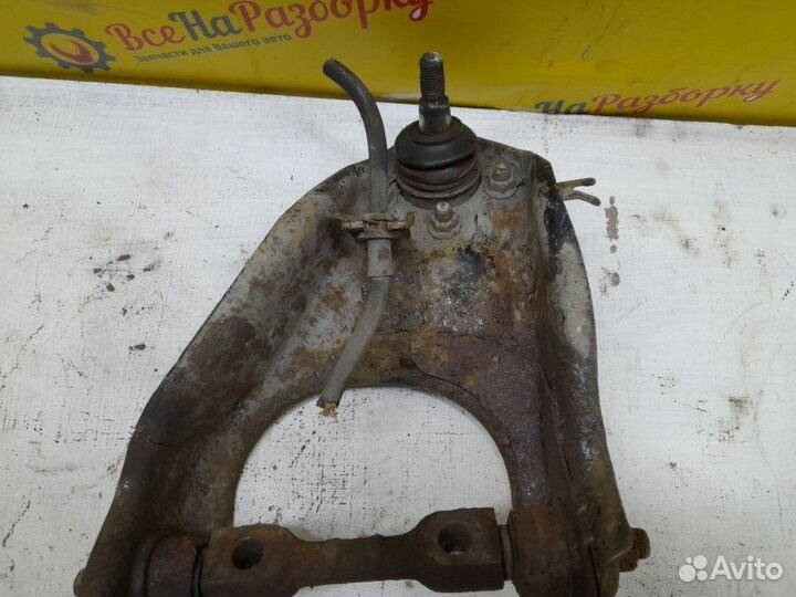 Рычаг верхний передний правый Great Wall Hover