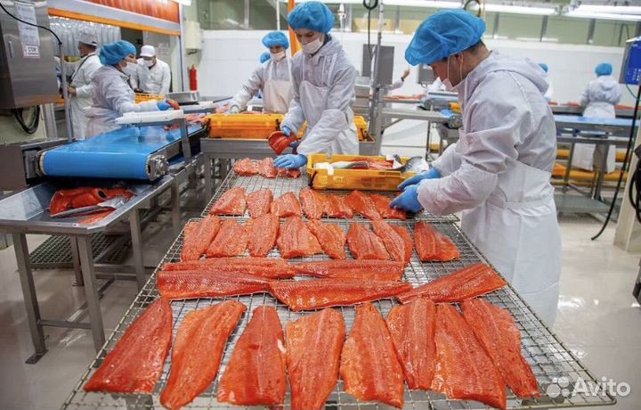 Упаковщик рыбы вахта