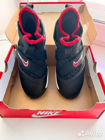 Nike lebron 12