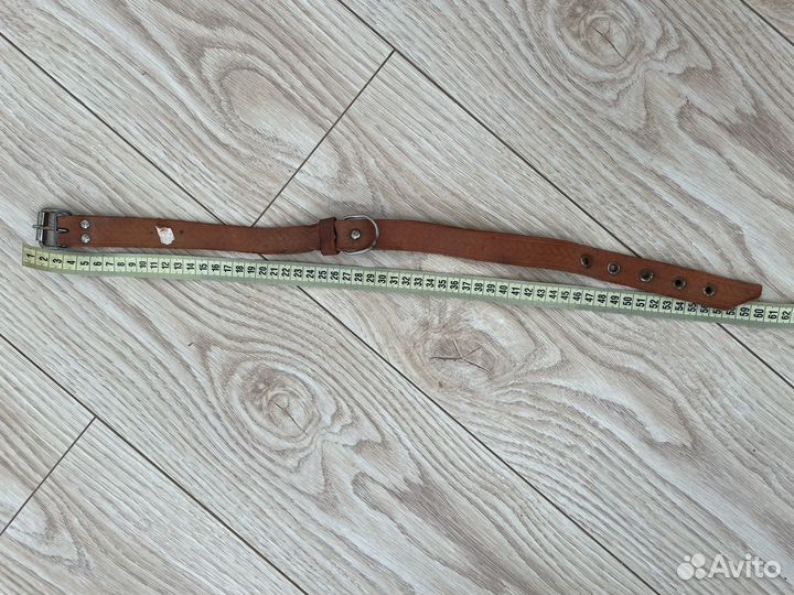 Поводок и ошейник
