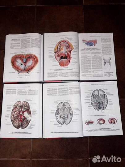 Атласы по анатомии Синельников