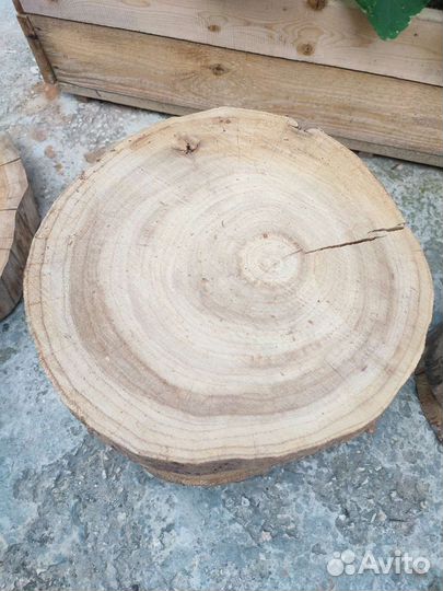 Спилы дерева