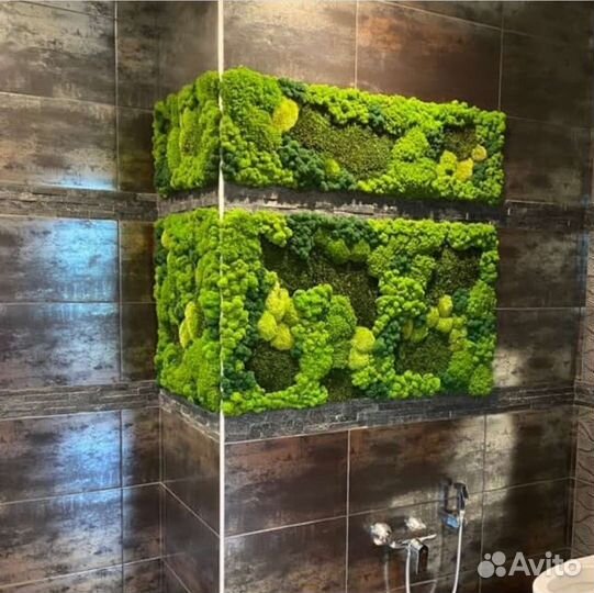 Мох стабилизированный фитокартина фитостена панно