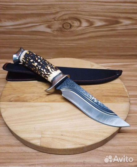 Нож охотничий Лев. Сталь 65X1З. Новый
