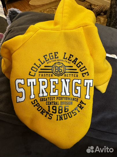 Толстовка для собак мелких пород