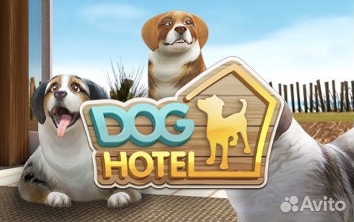 Передержка собак