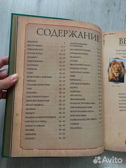 Познавательные книги для детей
