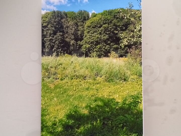 Участок 100 сот. (СНТ, ДНП)