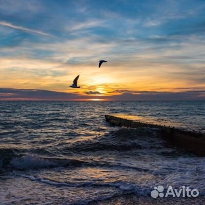 19июл24 Автобусный тур в Лазаревское/рэ6007.Ема