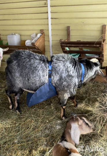 Фартук для козлов Барьер с ребром жесткости