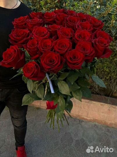 Розы Высокие Розы Гиганты Доставка Москва