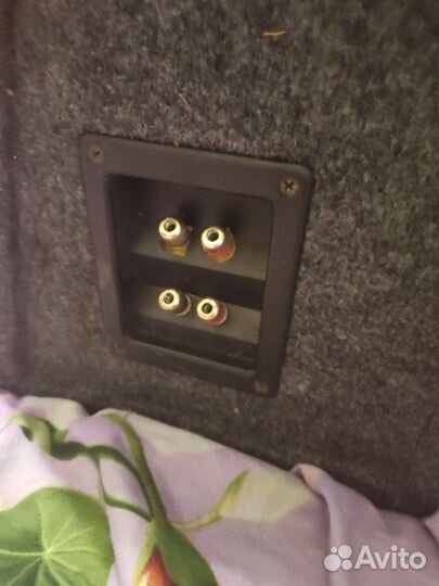 Сабвуфер jl audio WOv3 12w3v4