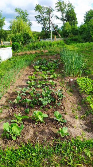 Дом 60 м² на участке 20 сот.