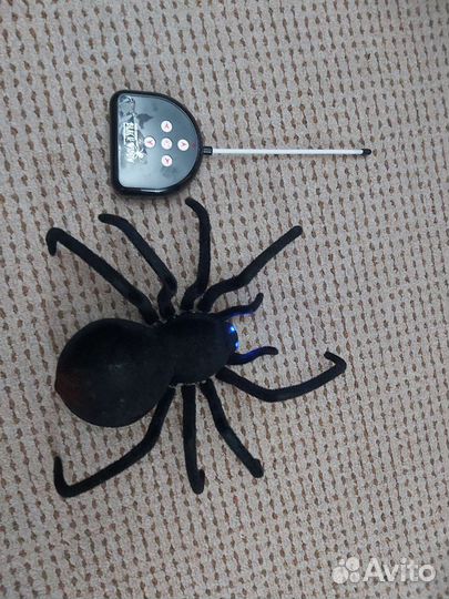 Паук на радиоуправлении