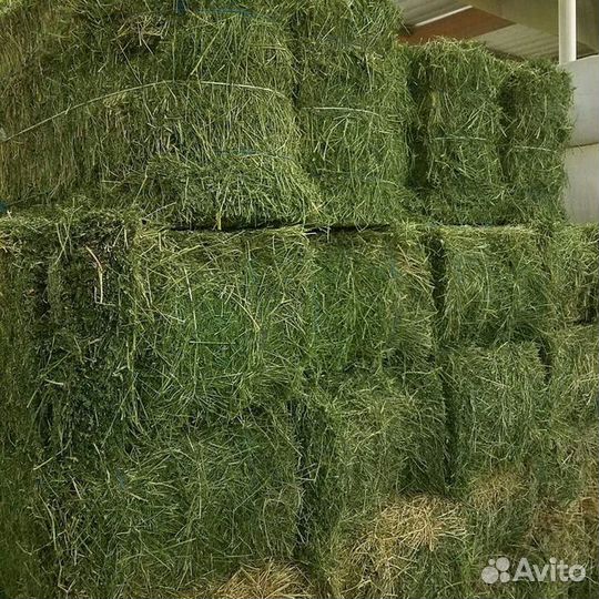 Сено-Травяная Смесь Луговых Трав тюк 25кг