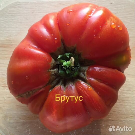 Семена томатов из Англии