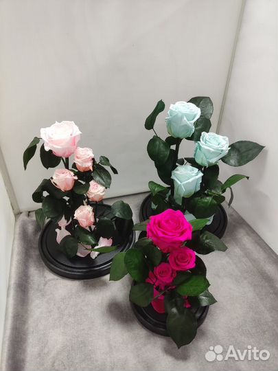 Вечная роза в колбе