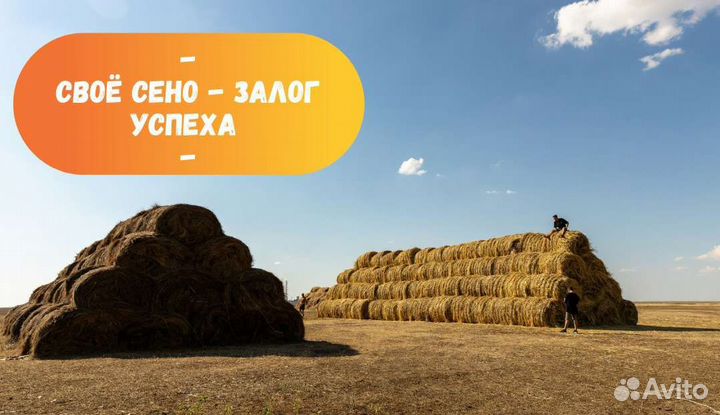 Опытный фермер ищет инвестора