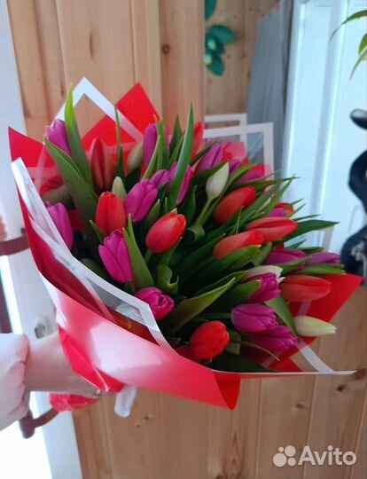 Тюльпаны к 8 марта