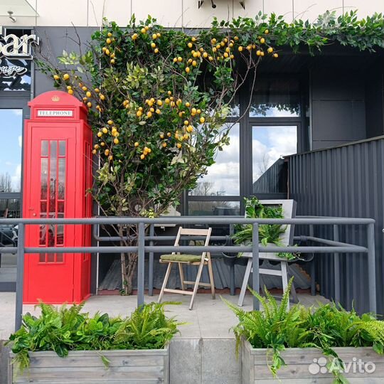 Оформление входной группы, декор цветами